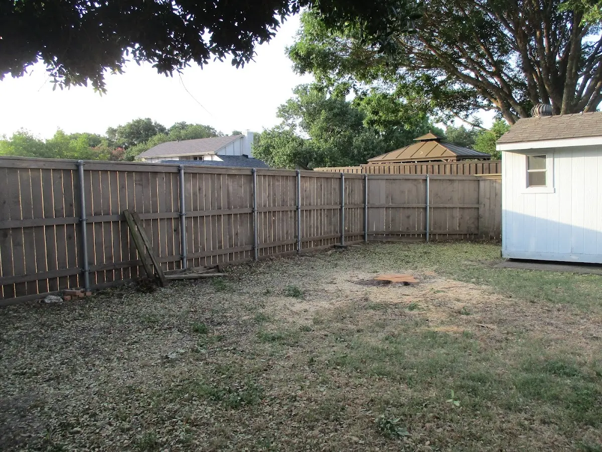 Cleared yard after professional tree removal in Falls Of Rough