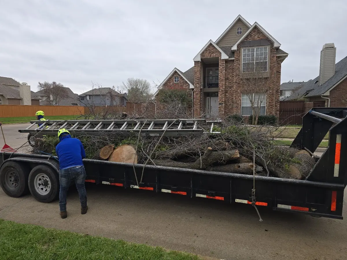 Expert Tree Fertilization with proper safety equipment in Falls Of Rough